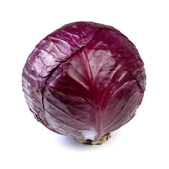 KAPUSTA CZERWONA POLSKA 10KG