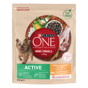 Purina ONE MINI Active Karma dla psa Kurczak Ryż 800g